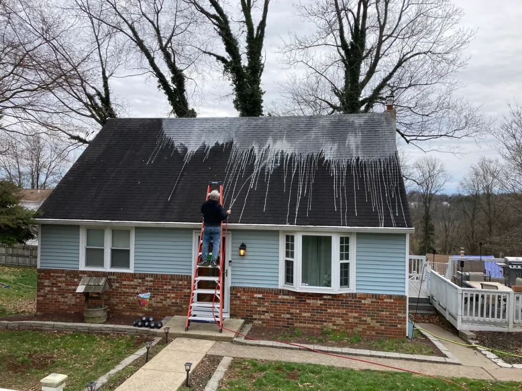 Soft Roof Washing 1